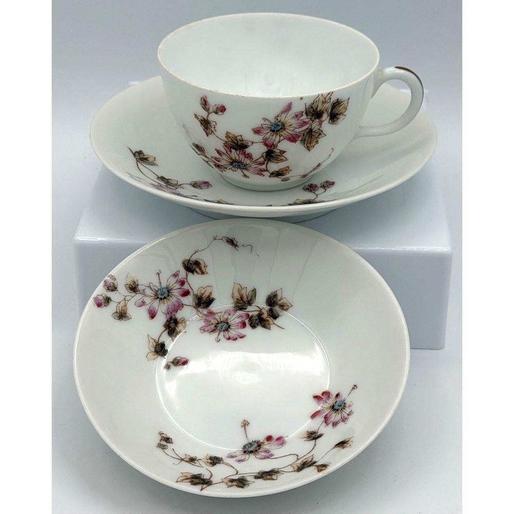Charles Haviland Limoges Porcelain Tea Set Snack Plate Schleiger 373 France EUC